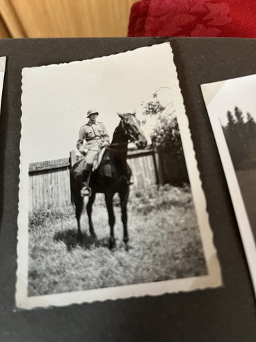 WW2 German Photo Album 170+ Pictures Postcards Cavalry Horses SRP-Final - Image 15